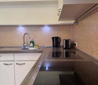 Klagenfurt am Woerthersee Apartamento | cozy big old town apartment