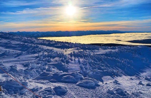 Big White Ski Resort Condominio | Cozy Big White Ski-In 1-bedroom condo. Sleeps 4-6+. RENOVATED! Pet-Friendly