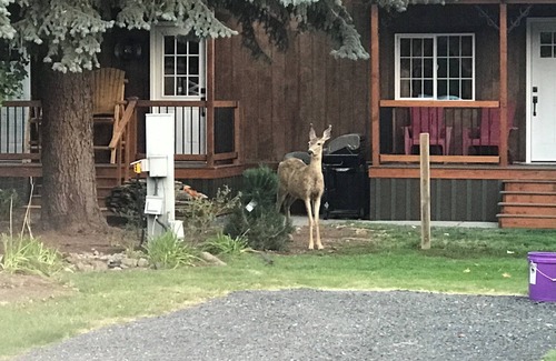 Wilbur Casa | Cozy bungalow located 20 minutes from Lake Roosevelt in Wilbur, WA