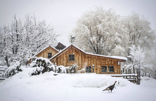 New Castle Cabina | Cozy Bunkhouse and Creekside Sauna Cabin next to the National Forest.