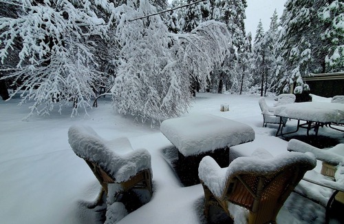 Glencoe Cabina | Cozy Cabin 40 mins to Kirkwood, 15 to Wineries, 5 to shopping, 1 mile off hwy88.