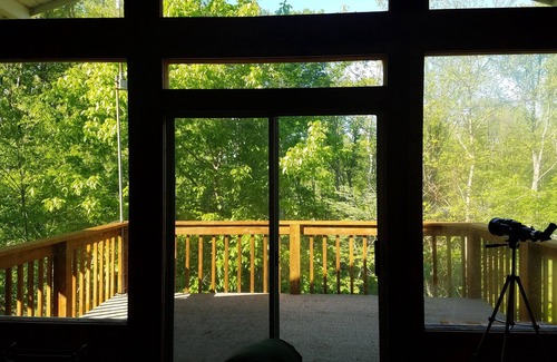 Bellmore Cabina | Cozy Cabin By The Lake!