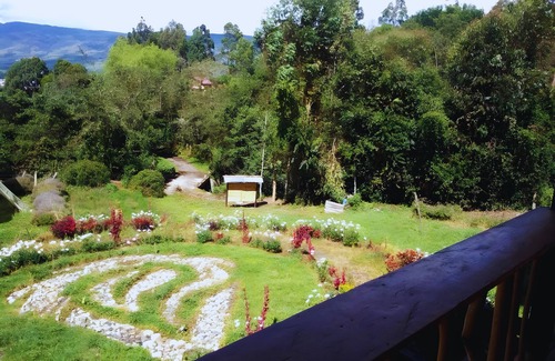 San Francisco Cabina | Cozy Cabin Casa Enya
