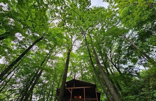 Mars Hill Casa | Cozy Cabin, Foliage, Hot Tub, Wi Fi, Fireplace