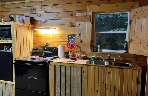 Wellston Cabina | Cozy cabin for two adults . no room to add extra . Cabin in the woods w Hot tub
