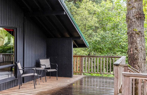 Alyeska Cabina | Cozy Cabin in Central Girdwood W/ Wood Stove, Washer/Dryer, & Free WiFi