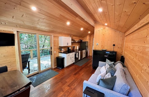 Brevard Cabina | Cozy cabin in charming Brevard with spa-like bath