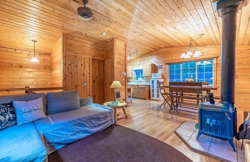 Stagetop Cabina | Cozy cabin in grove of aspen trees; incredible patio; hiking and fishing nearby!
