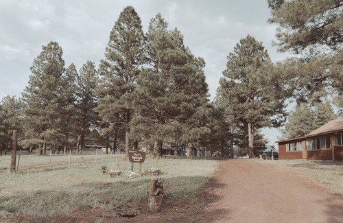 Coconino County Cabina | Cozy cabin in Mormon Lake