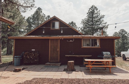 Coconino County Cabina | Cozy cabin in Mormon Lake