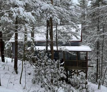 Saint Helens Casa | Cozy Cabin in Red River Gorge
