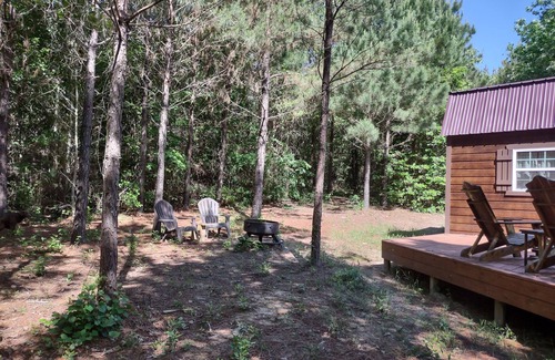 Cason Cabina | Cozy cabin in the piney woods