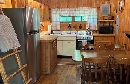 White Mills Cabina | Cozy Cabin in the Woods - Near Lake Wallenpaupack