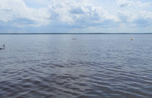 Houghton Lake Cabina | Cozy Cabin Lake view and access