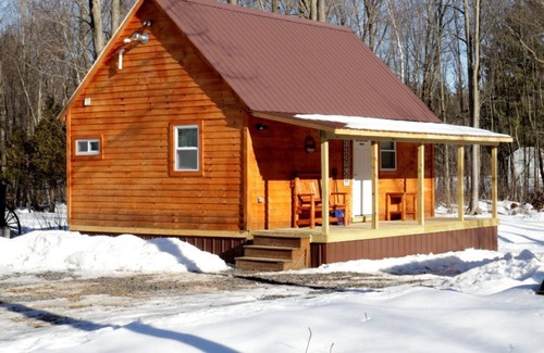 Rooseveltown Cabina | Cozy cabin located in Brasher Falls, NY. Pet friendly!