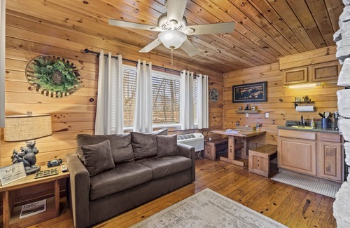 Bryson City Cabina | Cozy cabin minutes from downtown Bryson City/Tail of the Dragon. Pet-Friendly!