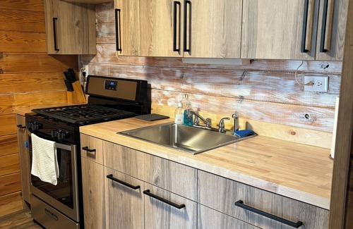 Wellston Cabina | Cozy Cabin near Tippy Dam -Pet Friendly