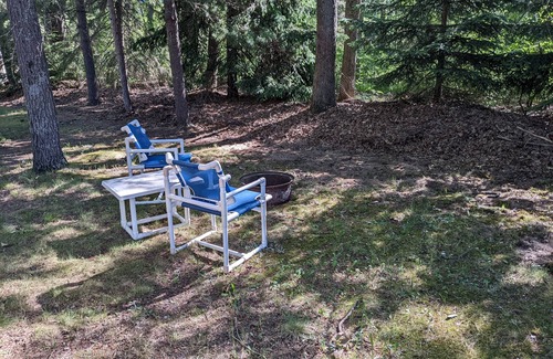 Wellston Cabina | Cozy Cabin near Tippy Dam -Pet Friendly