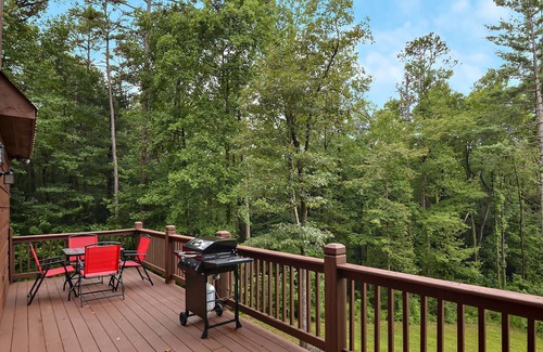 Ellijay Cabina | Cozy Cabin Nestled in the Midst of Wineries & Apple Houses w/Hot Tub & Fire Pit!