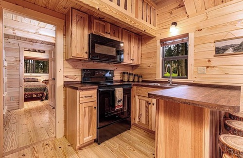Hector Cabina | Cozy Cabin on Seneca Wine Trail Vineyard View 1