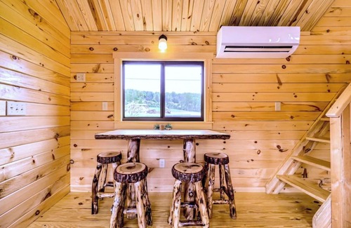 Hector Cabina | Cozy Cabin on Seneca Wine Trail Vineyard View 1