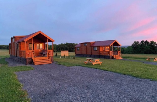 Hector Cabina | Cozy Cabin on Seneca Wine Trail Vineyard View 1