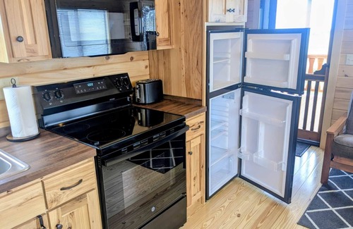 Hector Cabina | Cozy Cabin on Seneca Wine Trail Vineyard View 5