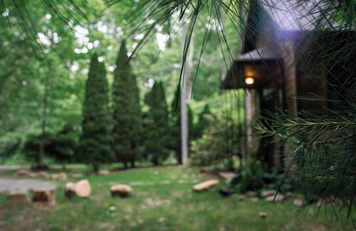 Rawley Springs Cabina | Cozy Cabin on the River: Swim, Hike & Relax on the Banks of the Dry River