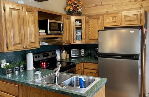 Royal Pines Cabina | Acogedora cabaña FUERA DE ASHEVILLE. MOUNTAIN VIEW / PET FRIENDLY / WIFI DISPONIBLE
