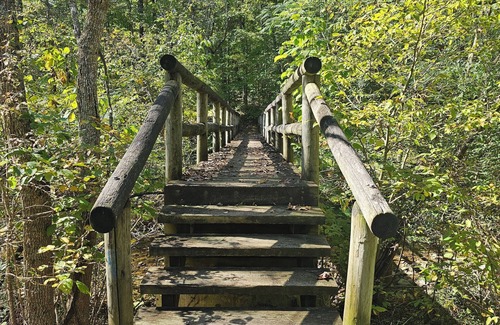 Peaks Cabina | Cozy Cabin w/ Natural Beauty! 2-bedroom cabin in wonderful Bedford, VA.