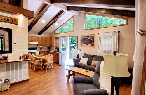 Sylva Cabina | Cozy Cabin with Firepit, Central A/C