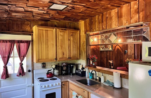 Monroe Cabina | Cozy Cabin with Outdoor Sauna and Firepit!