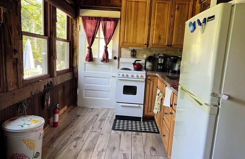 Monroe Cabina | Cozy Cabin with Outdoor Sauna and Firepit!