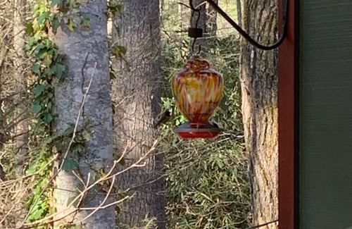 Cashiers Cabina | Cozy cabin within walking distance of Cashiers Crossroads.