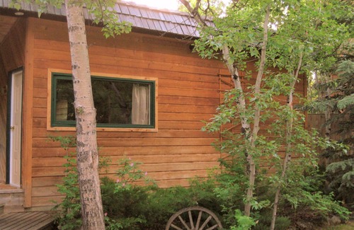 Beaver Mines Cabina | Cozy cabins that sleep 6 w/ hot tub close to Castle Mountain!