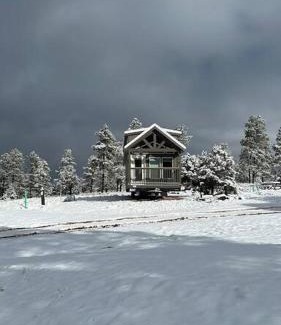 Williams Chalet De Esquí | Cozy Cabins with a mountain view 1A
