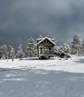 Williams Chalet De Esquí | Cozy Cabins with a mountain view 2A