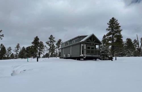 Williams Chalet De Esquí | Cozy Cabins with a mountain view 2A