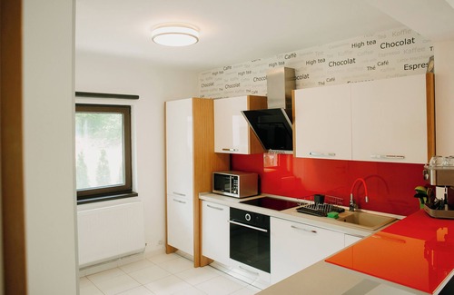 Baia-Sprie Chalet De Esquí | Cozy chalet in Maramureș in the middle of nature with everything equipped