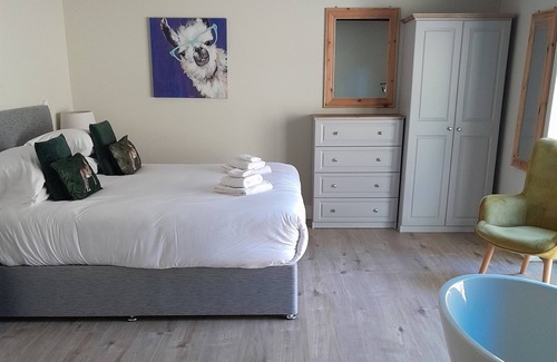 Roundwood Cabaña | Cozy, comfortable cottage on an alpaca farm