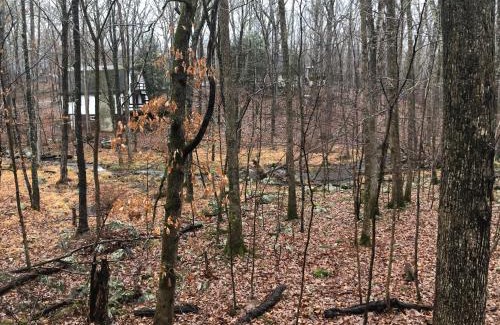 Bushkill Chalet De Esquí | Cozy Cottage at Saw Creek