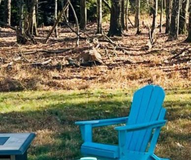 Albrightsville Casa | Cozy Cottage by the Lake