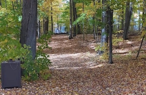 Cherry Valley Cabaña | Cozy Cottage in the Woods, Quiet, and Secluded