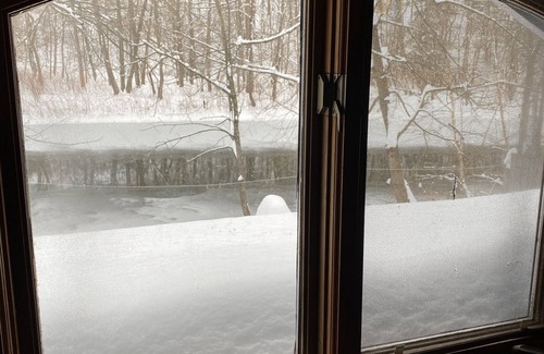 Nisbet Casa | Cozy Cottage on Lycoming Creek