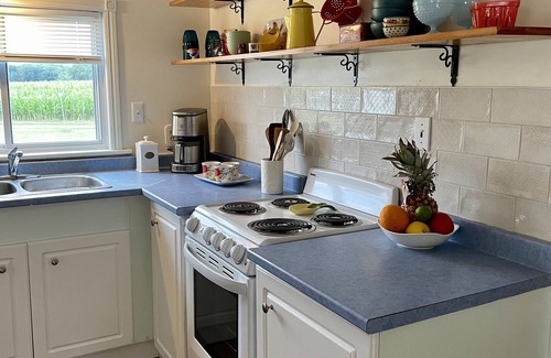 Quinte West Cabaña | Cozy Cottage on the Trent