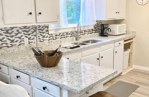 Cayce Casa | Cozy Elegant Home - USC, Fort J