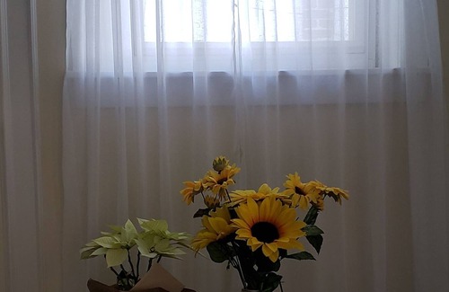 Allentown Apartamento | Cozy & Entire Unit to stay