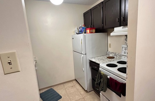 Winnipeg Apartamento | Cozy Family-Friendly 1BR Apartment /Downtown Free Parking,Wi-Fi, Balcony,Laundry