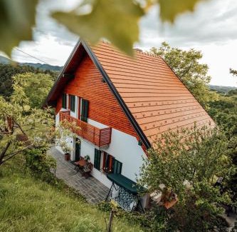Majsperk Casa | Cozy family place 'Hiša Grozdek' - Gruškovec 40A