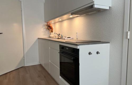 Silkeborg Apartamento | Cozy Flats Silkeborg - S1